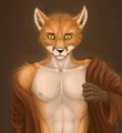 The Fox Boy