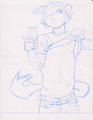 A coyote sneaks a pic or two.. by BeckTiger