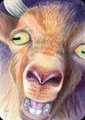 ACEO - GoatGruff
