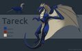 Tareck Reference Sheet