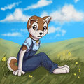 Wildflower by LostWolfSpirit