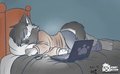 Zzzzzz
