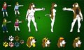 Finnegan Reference Sheet 2011 by FinneganHound