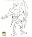 Raven Alpha ILA