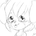 Cutesi Pawp