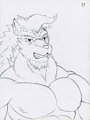 Wolf Beast Trade (PLA)