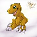 Its Agumon!