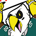 MFF Birds!