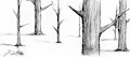 Desolated Trees and Metal Stuff