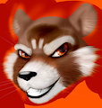 Rocket WIP