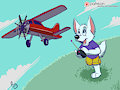 RC Plane