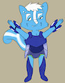 Quickie G-armor 2.0