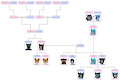 Wolfe Family Tree V2
