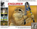 The Squirrel Take Over!