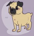 PUG 
