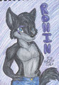 Classic Badge by SerenaKitty