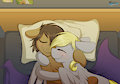 The Warmest Mornings