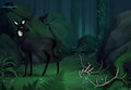 Secrets Of The Forest