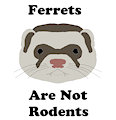 Ferrets are not Rodents