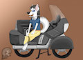 Ready to ride! by esanhusky