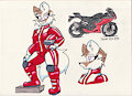 Motorcycle