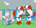 pool party splash