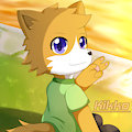 Kikko