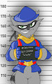 Sly Cooper