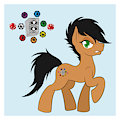 Pony OC 25