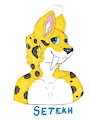 My first Badge by Setekh