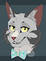 gift for station-pass by Cacticorn