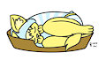 Lauir's sleeping basket