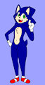 Sonic The Hedgehog