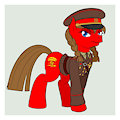 Pony OC 29