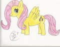 Fluttershy!