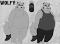 Wolfy Reference Sheet