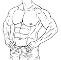 Torso