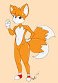 Tails The Fox