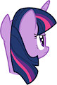 One-sided Manes in One-quarter Views