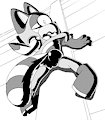 #MPRRacoon but the raccoon is Marine