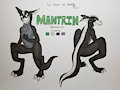 A new Ref sheet by NordicSkunk