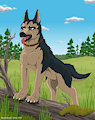 John by Jarfox