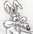 Wile E. Coyote, sketches