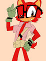 Gadget