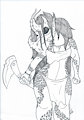 Dragon Masked One