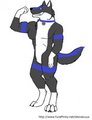 buff X3 by HollowFenris