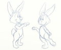 Bunny Sketches