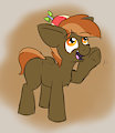 Foal Profile: Button Mash by HalfPints