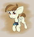 Foal Profile: Featherweight
