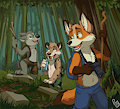 Adventure through the woods.
